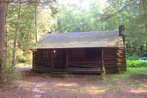 Bushkill Cabin